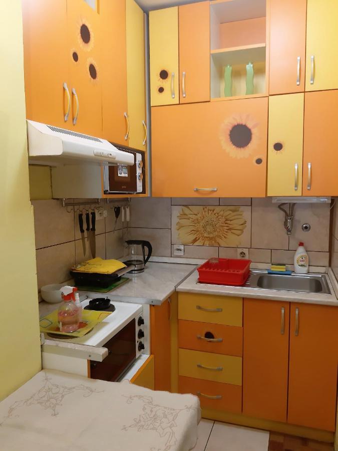 Apartment Adela Požarevac Εξωτερικό φωτογραφία
